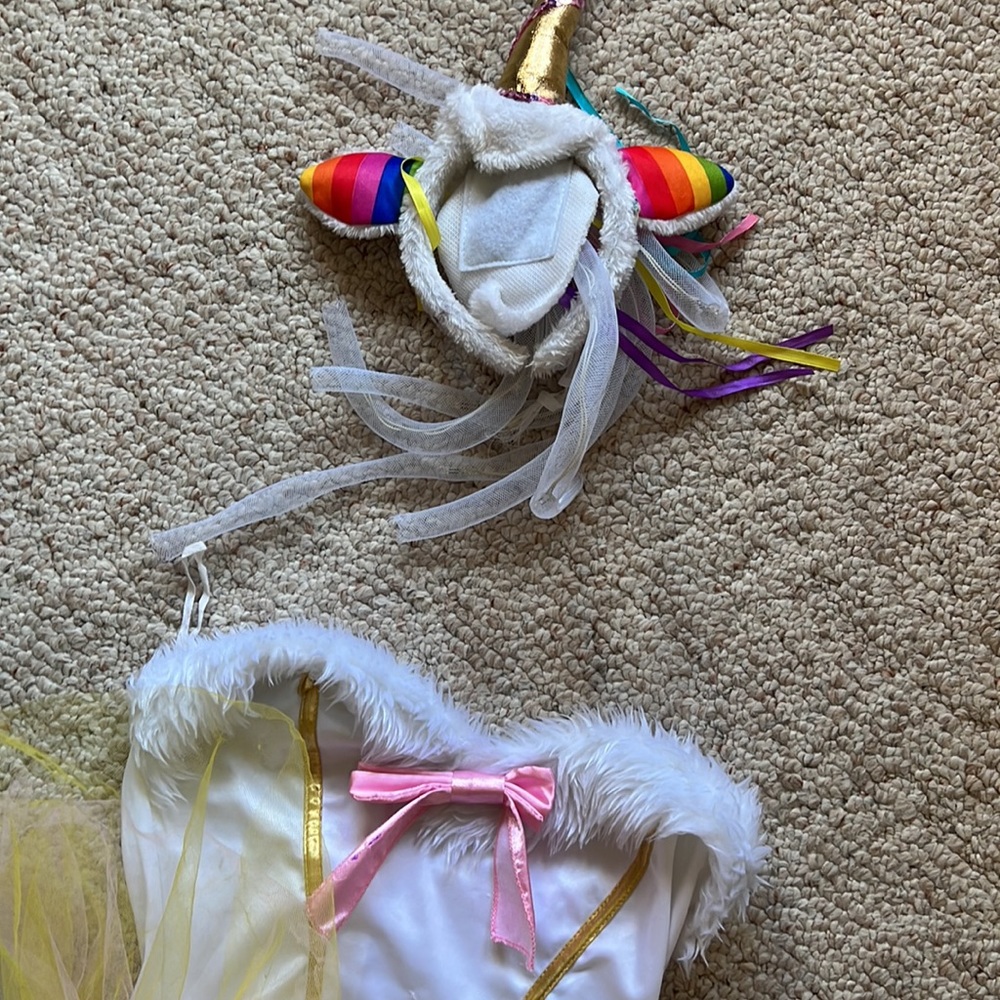 Costume - Picture 2 of 7